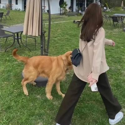 两只小猪之勇闯神秘岛